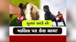 કાયદાની વાતઃ કૂતરું કરડવાથી તેના માલિક પર કેસ કરી શકાય? જાણો શું છે સજાની જોગવાઈ
