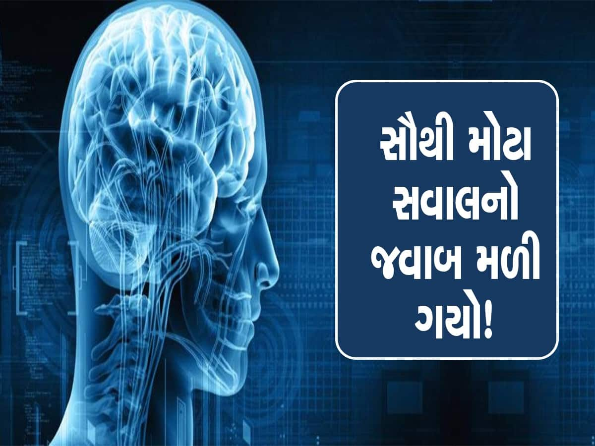 Brain: સ્ત્રીઓનું મગજ તેજ હોય ​​છે કે પુરુષોનું? રિસર્ચમાં થયો મોટો ખુલાસો..તમે પણ જાણી લો