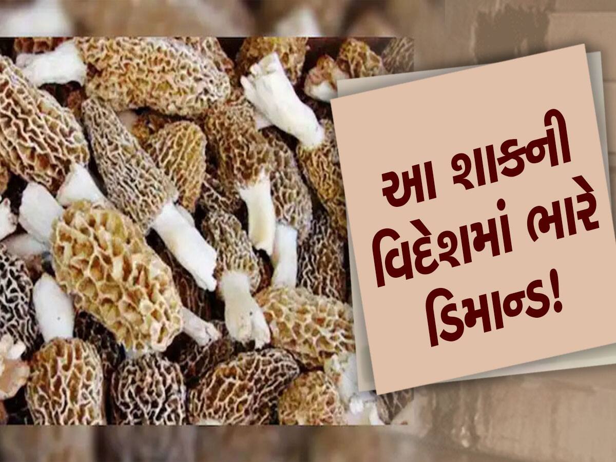 Business Idea: 30,000 રૂપિયે કિલોમાં વેચાય છે આ શાક, દેશ-વિદેશમાં તેના માટે થાય છે પડાપડી!