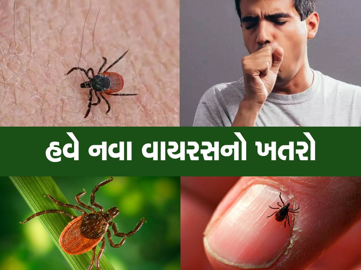 શું છે Tick Virus? જેના એક જ કેસથી યુકેમાં ફફડાટ વ્યાપી ગયો, જાણો બચાવ અને લક્ષણો