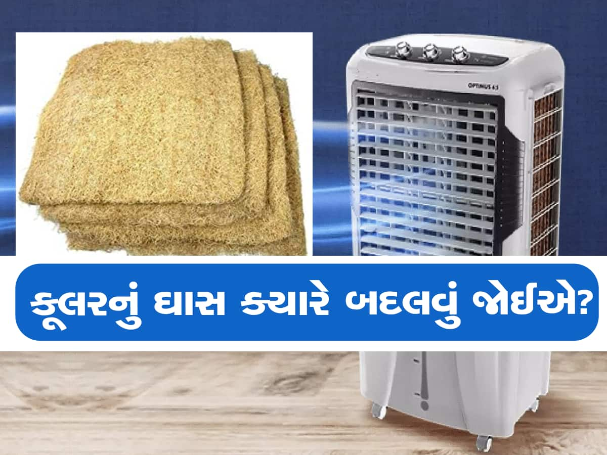 આટલા સમયમાં કોઈ પણ સંજોગોમાં બદલી દેવું જોઈએ કુલરનું ઘાસ, આ બાબતોનું પણ ખાસ રાખો ધ્યાન