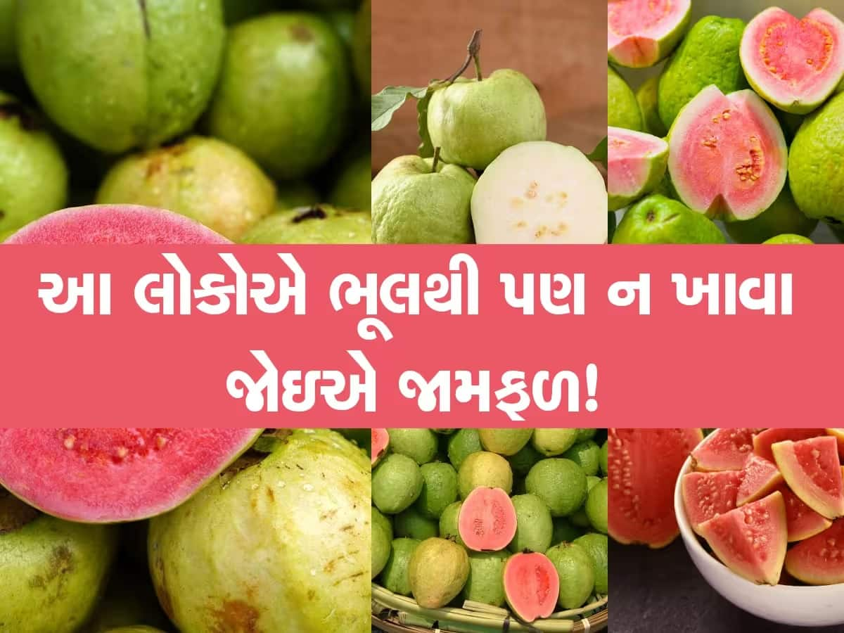 સાચવજો! સ્વાદના ચટાકા સ્વાસ્થ્યને પડશે ભારે, ભૂલથી પણ જામફળ ખાવાનું જોખમ ના લેતા