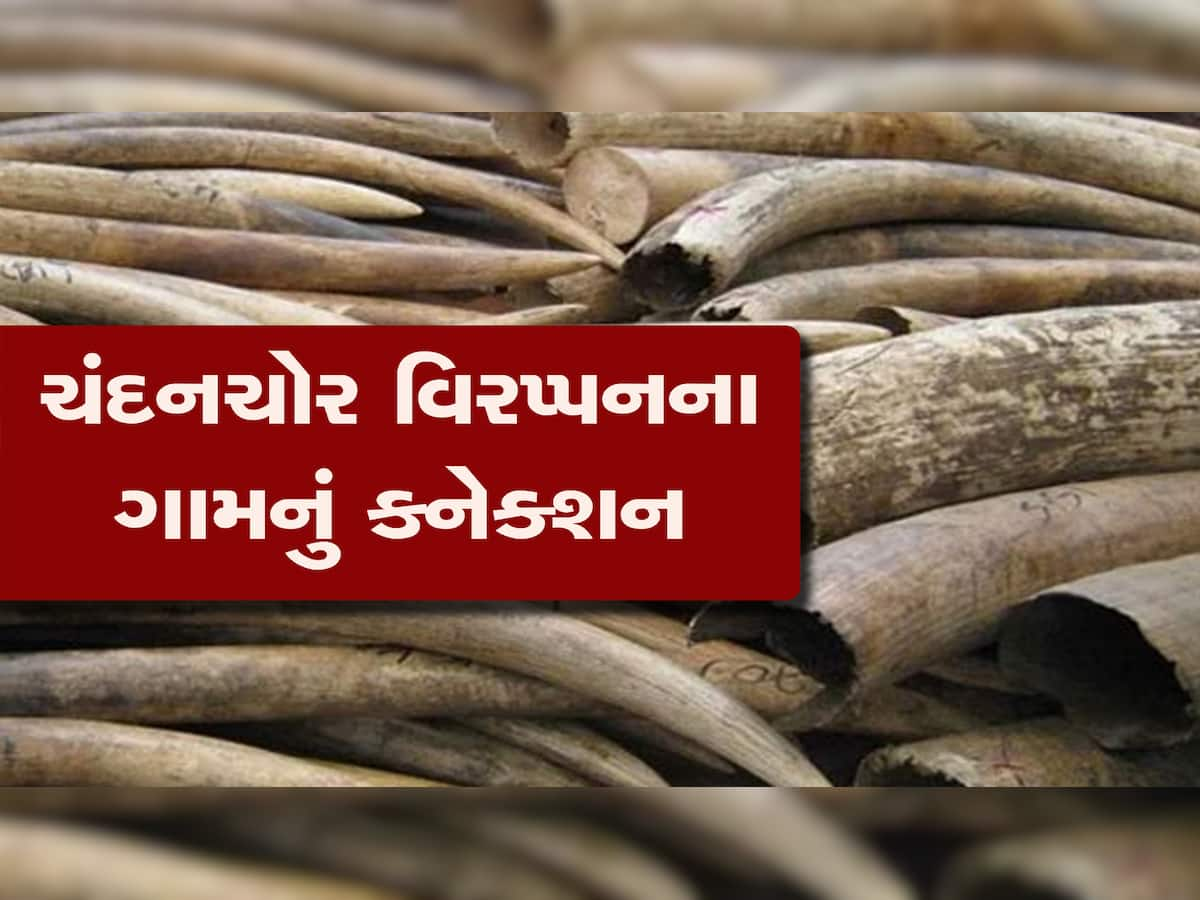 Elephant Teeth Trafficking: ચંદનચોર વિરપ્પનના ગામમાં રહેતા 4 આરોપીઓ એના કરતાં પણ ઉસ્તાદ નીકળ્યા, સૌથી મોટા કાંડમાં ફસાયા