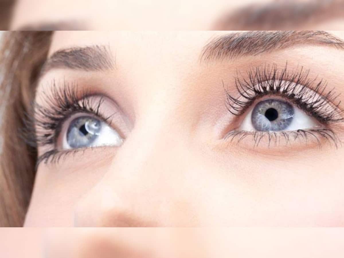 Eye Care: તમારી રોશની નબળી કે ચશ્મા છે તો આ વસ્તુઓ ખાવાનું રાખો, આંખને મળશે જોરદાર ફાયદો