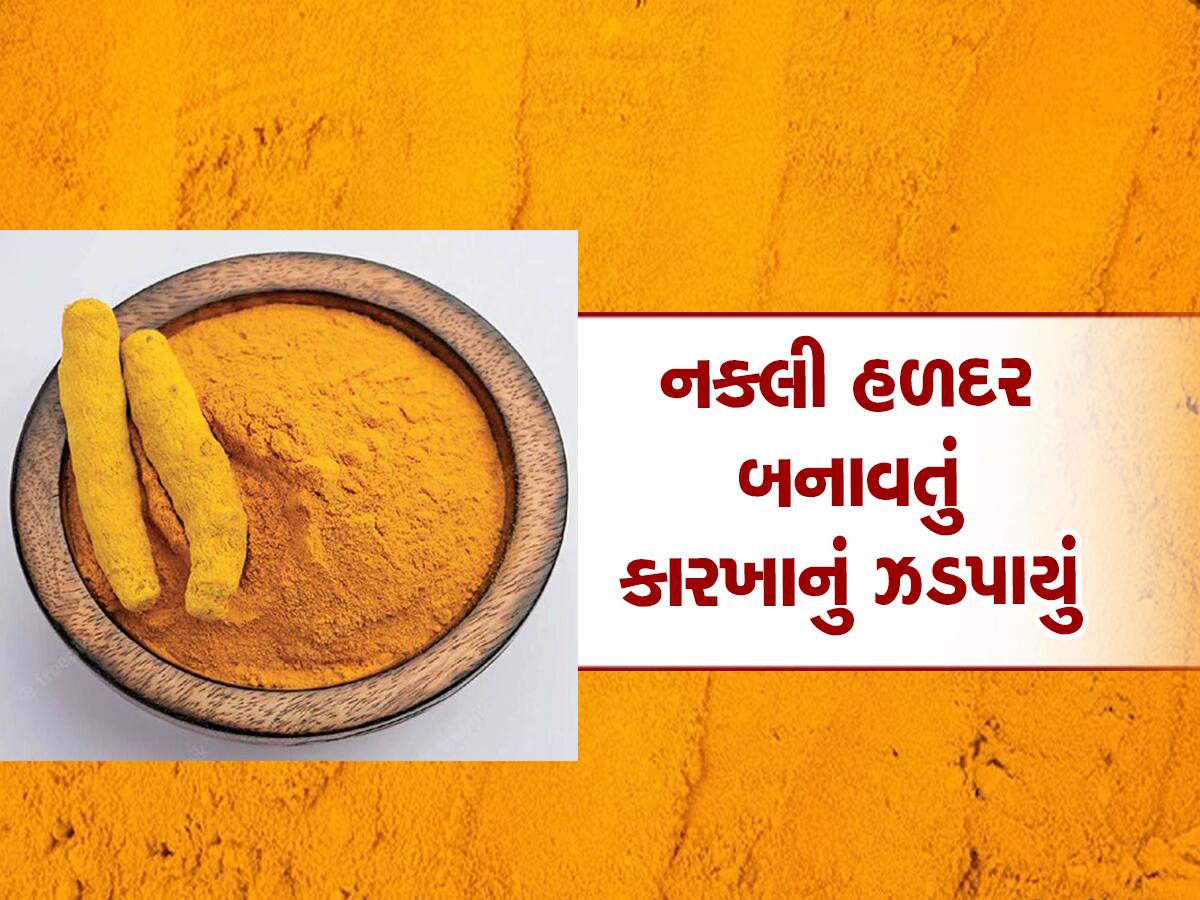 આંતરડાને ચીરી નાંખે એવી વસ્તુમાંથી હળદર બનતી, નડિયાદમાંથી ઝડપાયું મોટું રેકેટ 