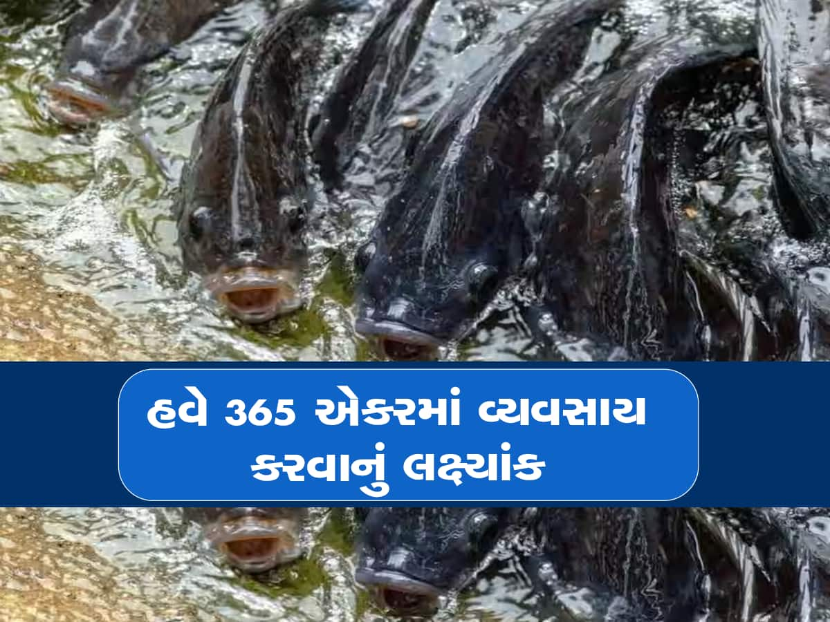 14 વર્ષ નોકરી કર્યા પછી શરૂ કર્યો આ વ્યવસાય, હવે વાર્ષિક ₹2.5 કરોડનો બિઝનેસ કરે છે આ ખેડૂત