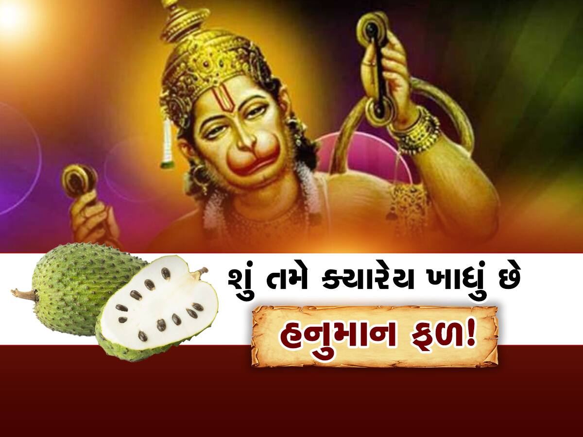 Hanuman Phal : સીતાફળ-રામફળની જેમ હનુમાન ફળ પણ આવે છે! આ ફળ ખાનારને નથી પડતી દવા-દારૂની જરૂર