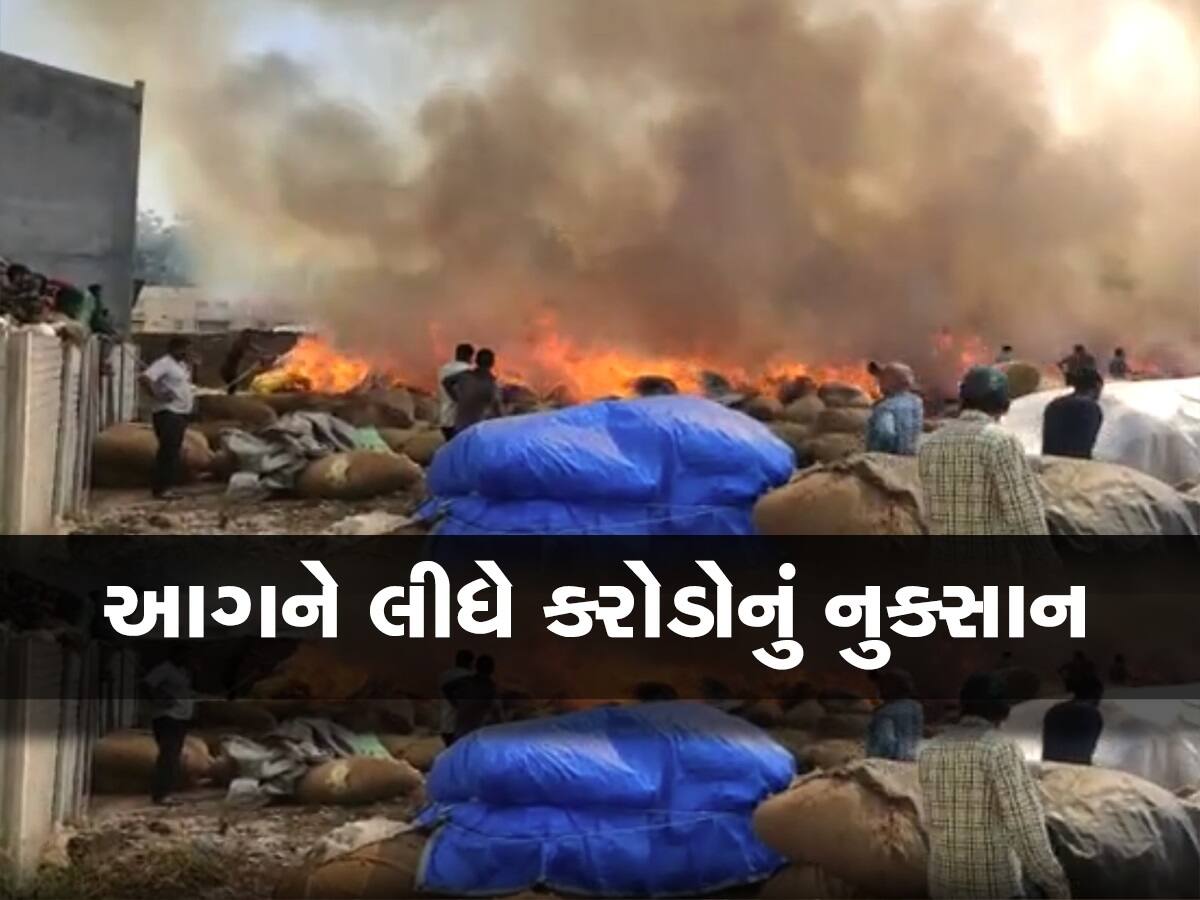 ગોંડલ માર્કેટિંગ યાર્ડમાં ભીષણ આગ, 2500 જેટલી મરચાની ભારી બળીને ખાખ, કરોડોનું નુકસાન