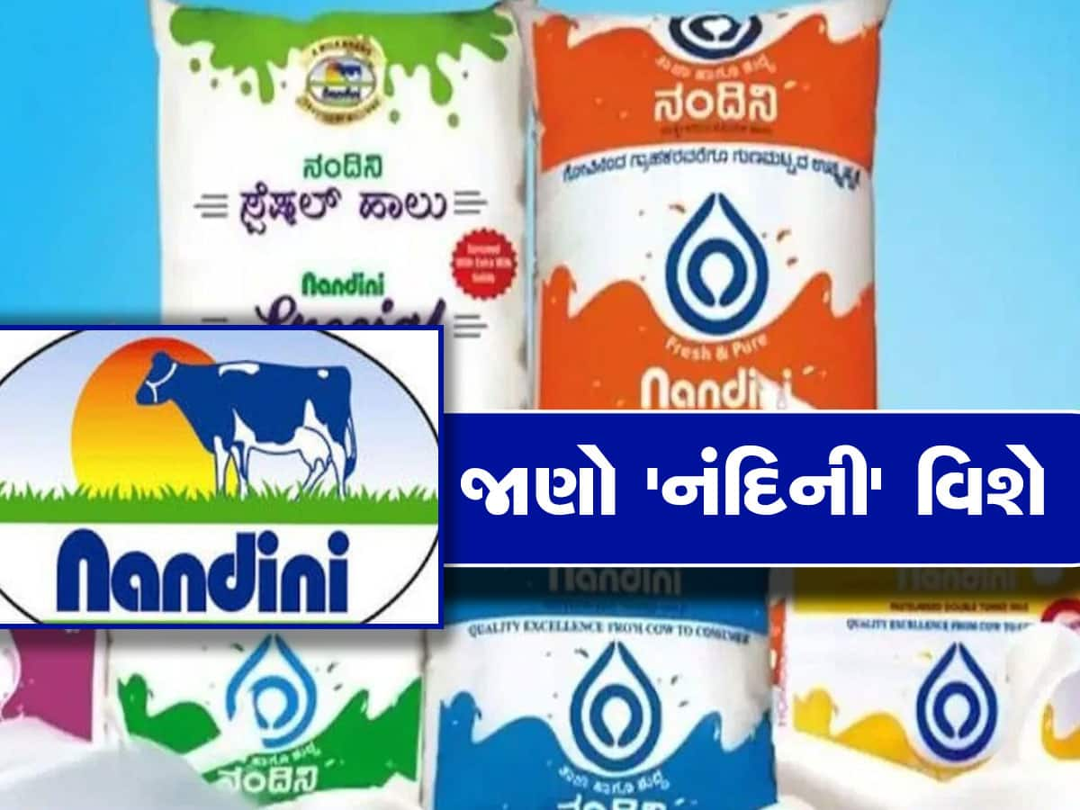 AMUL VS NANDINI: જે 'નંદિની' માટે મચી રહ્યો છે આટલો બધો હંગામો, જાણો કોણ છે અને તેનું કેટલું મોટું છે સામ્રાજ્ય