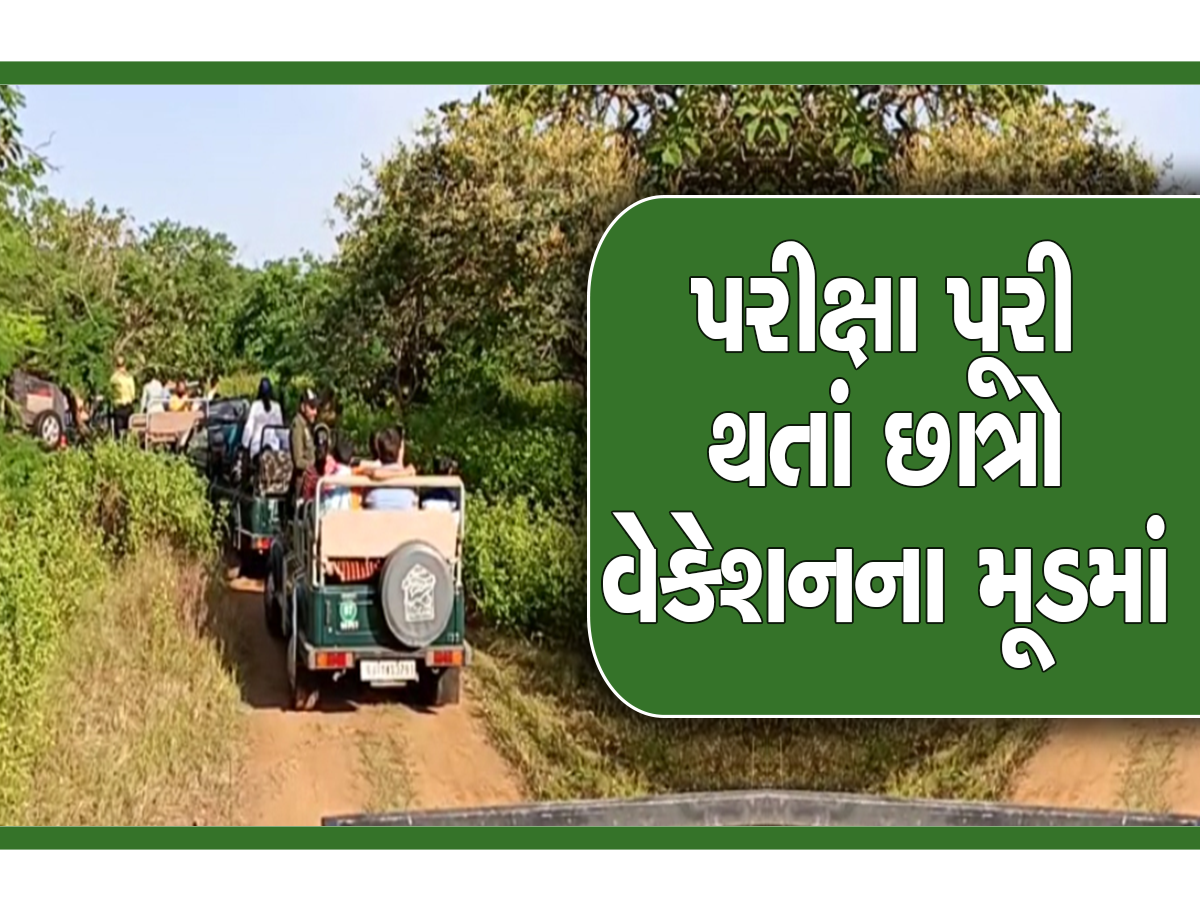 ઉનાળું વેકેશનમાં ગુજરાતીઓ ફરવા ઉપડ્યા, જાણો સૌથી વધુ ક્યાં જોવા મળી રહ્યો છે ટૂરિસ્ટોનો ઘસારો