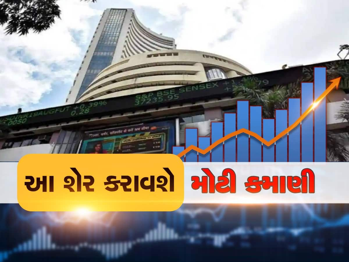 Top 5 Fundamental Picks: 1 વર્ષમાં મળશે 38% નું રિટર્ન, આ 5 સ્ટોકમાં લગાવો દાંવ, જાણો વિગત