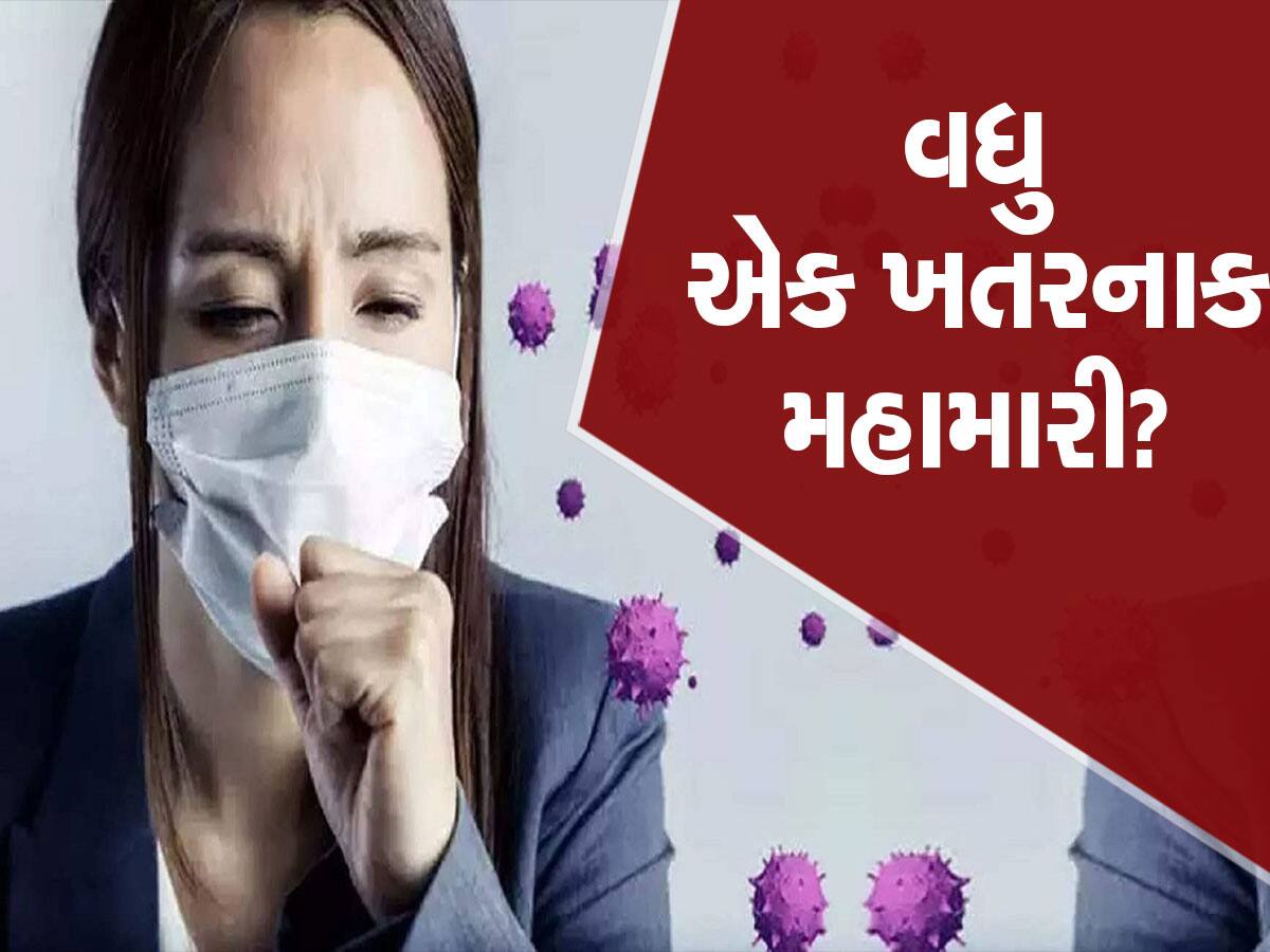 New Pandemic: કોવિડ-19 જેવી જીવલેણ બીમારી ઘાત લગાવીને બેઠી છે! જલદી જોવા મળશે 'મોતનું તાંડવ'