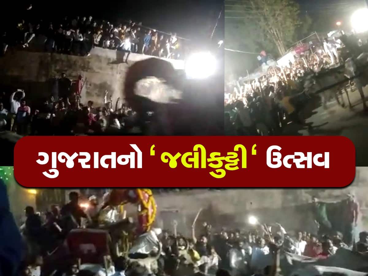દૈવીશક્તિનો પરચો બતાવતો ગુજરાતનો અનોખો ઉત્સવ, વાલમની ગલીઓમાં દોડ્યા બળદ