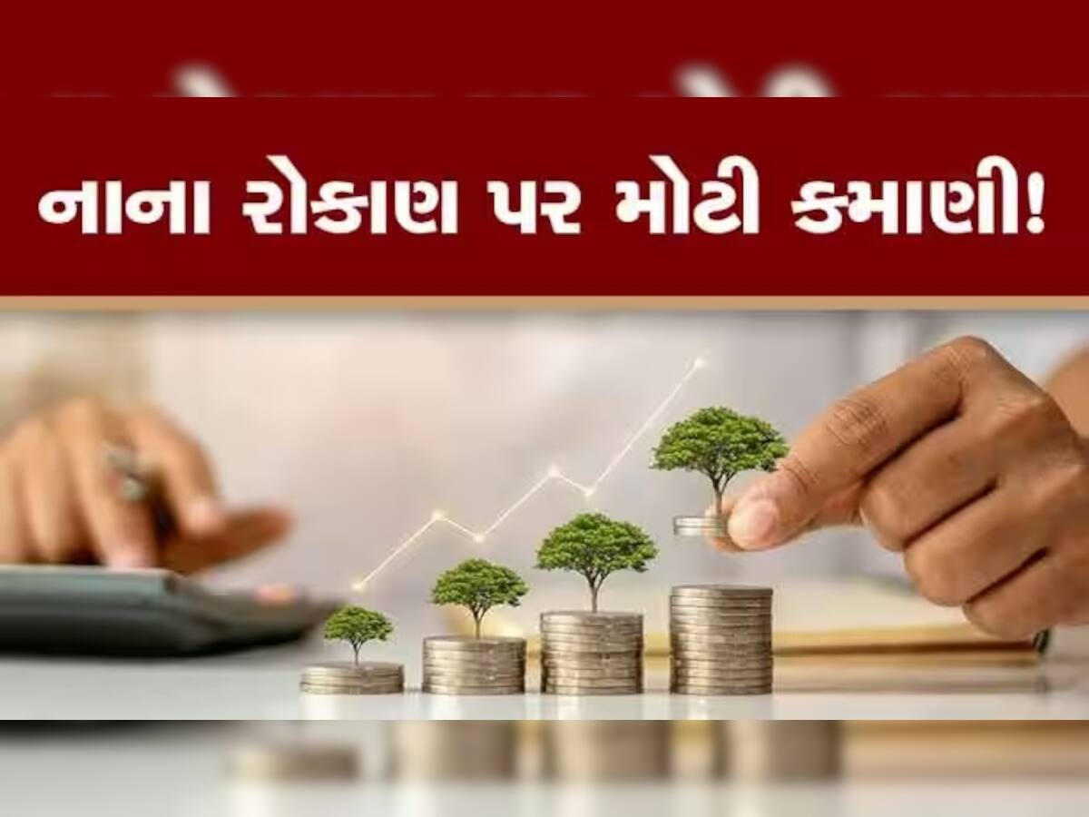 Regular Income Schemes:લોન્ગ ટર્મના આ વિકલ્પોમાં કરો ઇન્વેસ્ટમેન્ટ, તમને જોખમ વિના થશે ભરપૂર કમાણી!