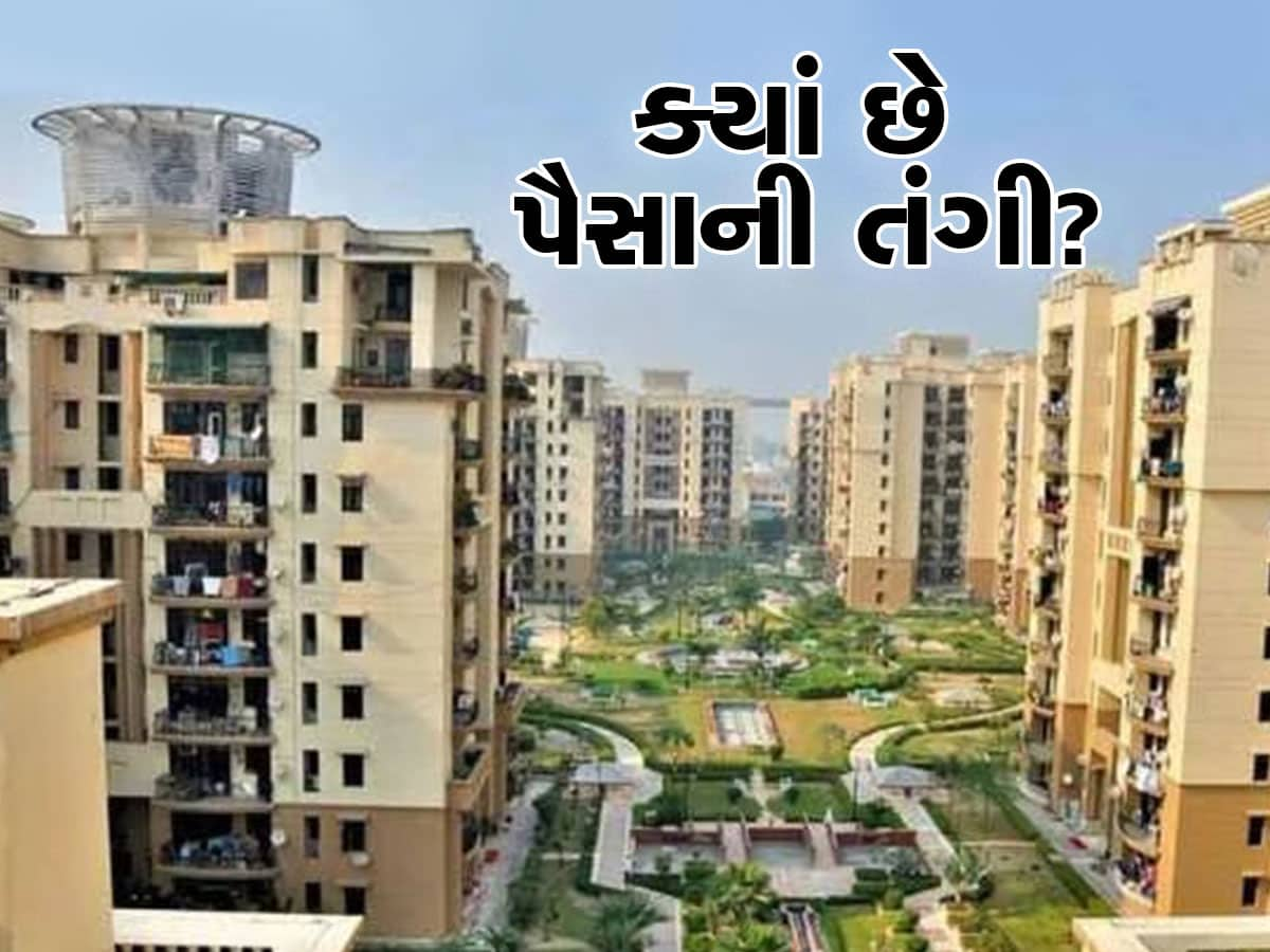 Real Estate Business: ક્યાં છે પૈસાની તંગી?, એનસીઆરના બિલ્ડરે  1 વર્ષમાં વેચી દીધી 13,000 કરોડની પ્રોપર્ટી