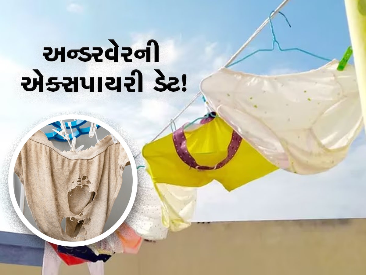 Undergarment Expiry: શું અન્ડરવેરની પણ હોય છે એક્સપાયરી ડેટ? જાણો ક્યાં સુધી કરવો જોઈએ ઉપયોગ