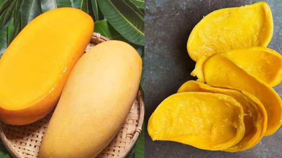 [node:title] | [node:field-hi-section:0] News in Gujarati mango peel is ...