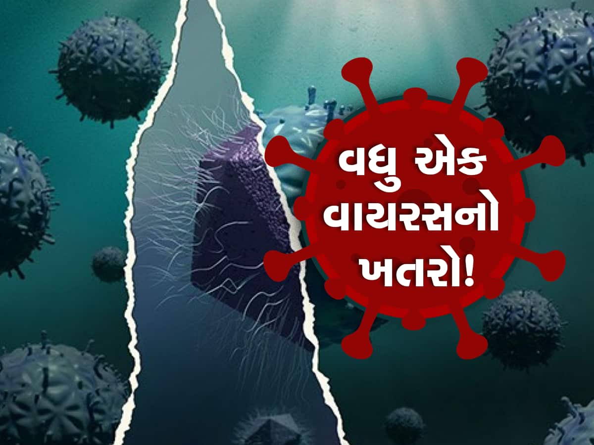 Mirusvirus Alert: વિશ્વમાં તબાહી મચાવી રહ્યો છે નવો હાઇબ્રિડ વાયરસ! વૈજ્ઞાનિકોએ કહ્યું- આવું ક્યારેય જોયું નથી