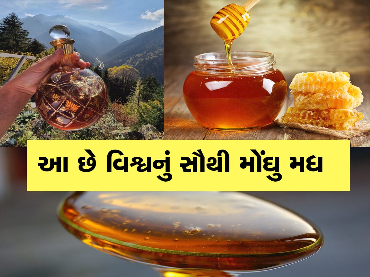 Most expensive honey: દુનિયાનું સૌથી મોંઘુ મધ, કિંમત જાણીને તમે પણ રહી જશો દંગ