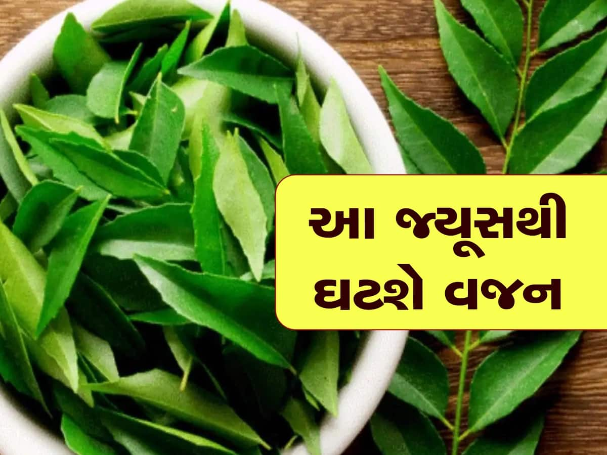 Weight Loss Juice: વજન ઘટાડવું હોય તો કરો આ પાંદડાના જ્યૂસનું સેવન, પાચન શક્તિ પણ થઈ જશે મજબૂત