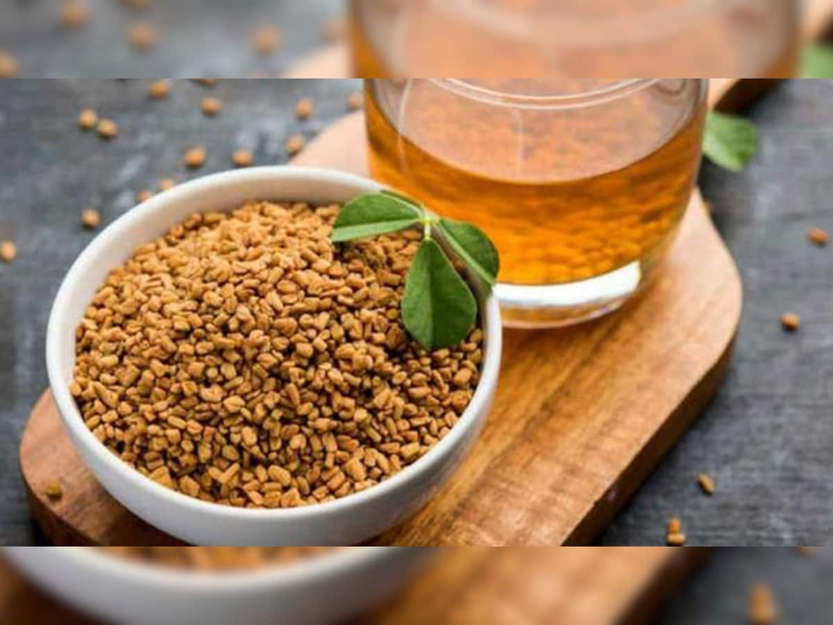 Fenugreek Benefits: નિયમિત શેકેલી મેથી ખાવાથી શરીરને થાય છે આ 4 જબરદસ્ત ફાયદા