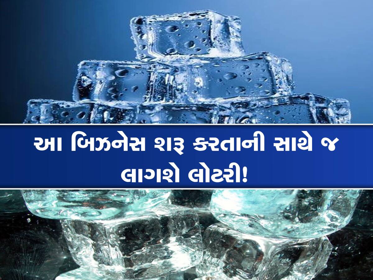 Business Idea: માત્ર 1 લાખ રૂપિયાનું રોકાણ કરીને શરૂ કરો આ બિઝનેસ, ઉનાળામાં ખુબ છે ડિમાન્ડ