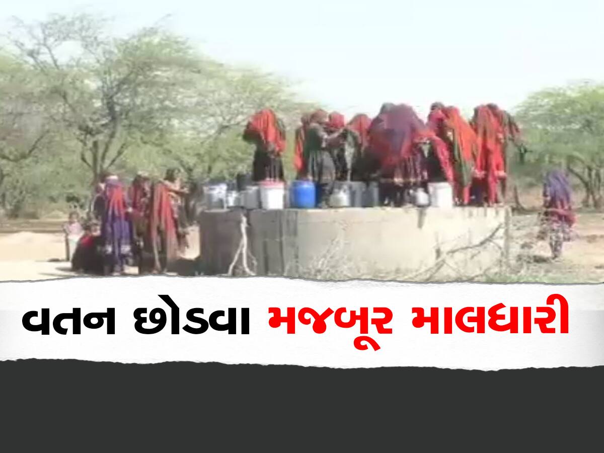 કચ્છના ગામડા ખાલી થવા લાગ્યા, માલધારીઓની હિજરત શરૂ, ખુદ સરપંચ ગામ છોડીને ગયા  