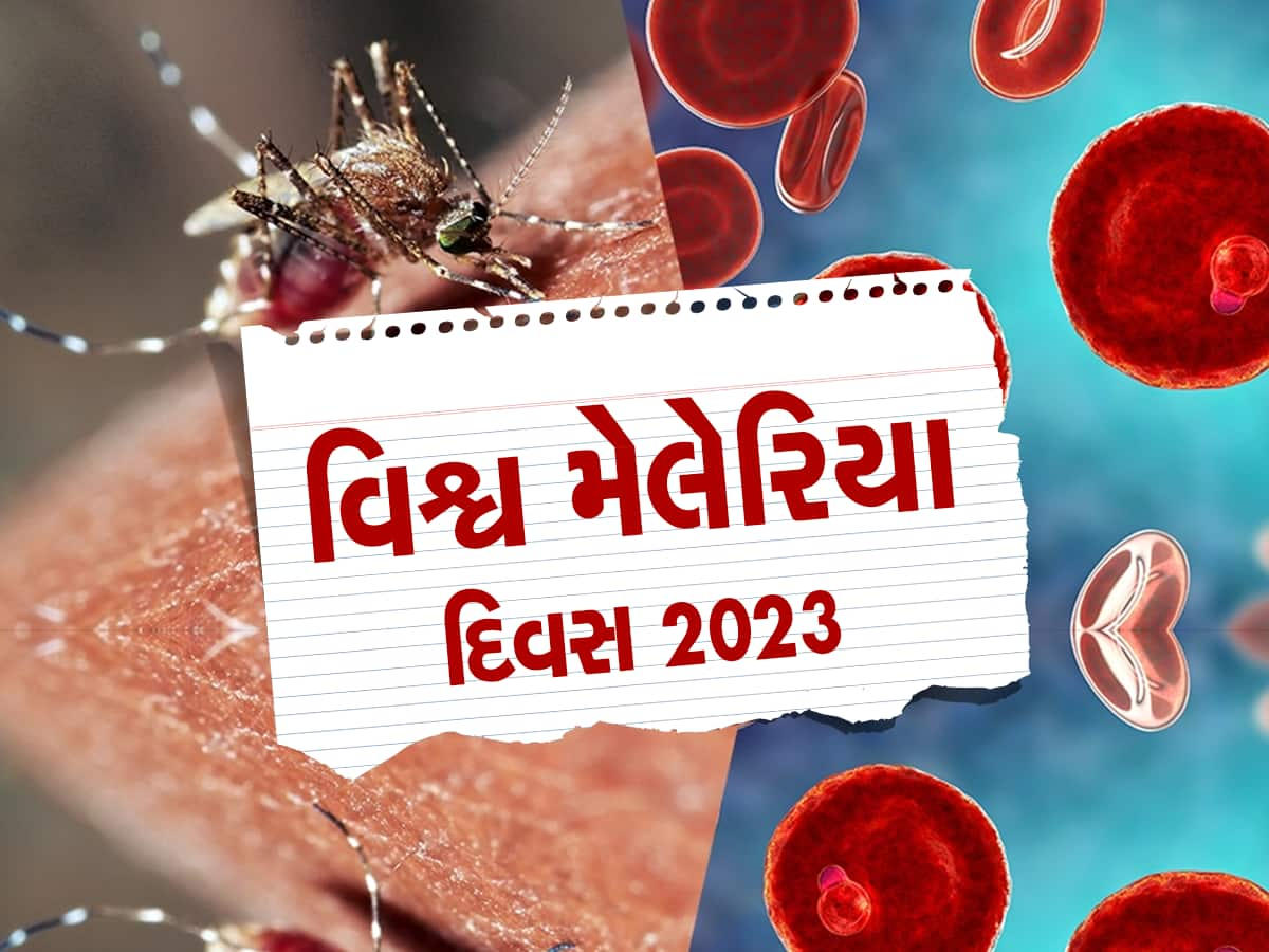 World Malaria Day 2023: દર વર્ષે મેલેરિયાથી મરી રહ્યાં છે લાખો લોકો, અનેક ગંભીર રોગો કરતાં પણ છે વધુ ખતરનાક!