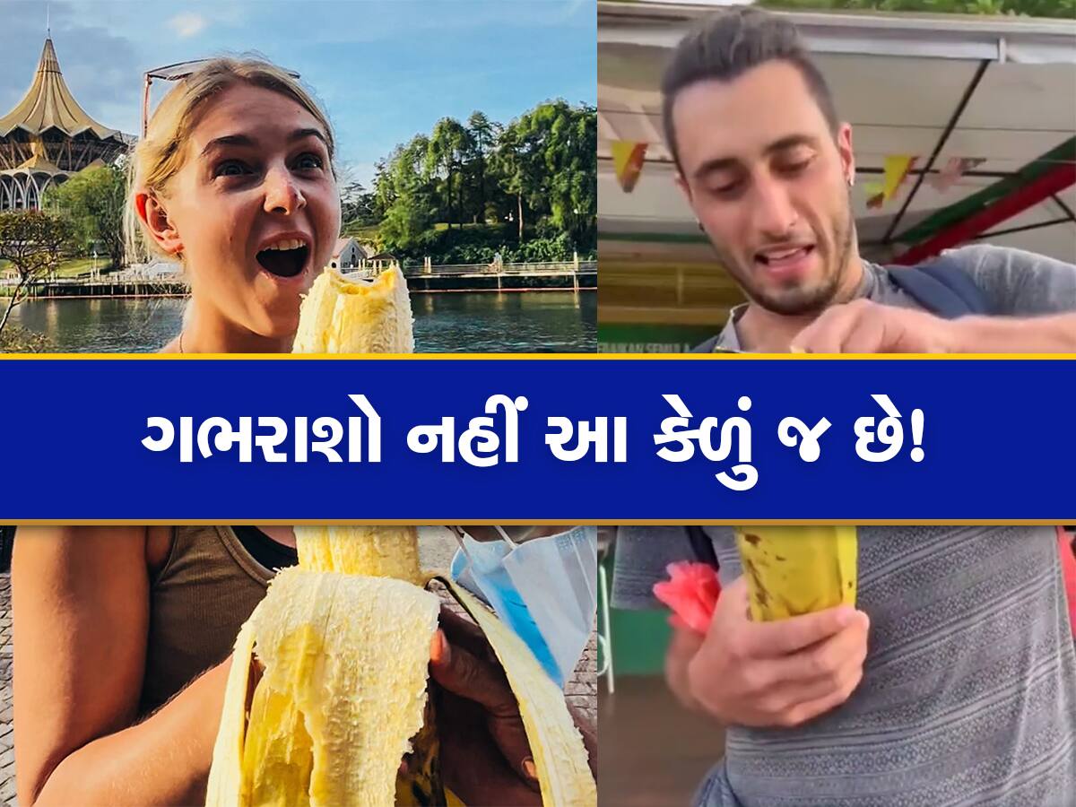 Worlds Biggest Banana: એક કેળું ખાઇને હાથીનું પણ પેટ ભરાઇ જશે! માન્યામાં ન આવતું હોય તો જોઇ લો વિડીયો