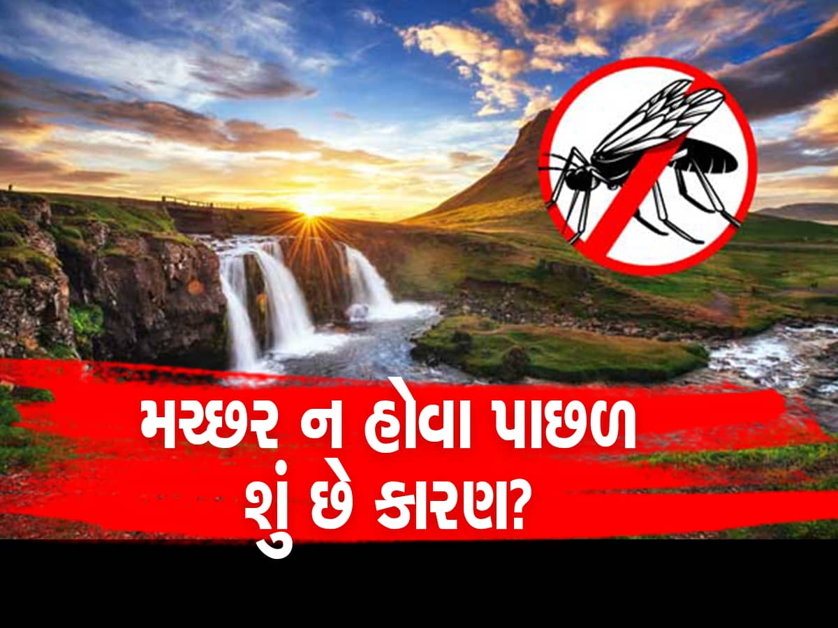 અનોખો દેશ જ્યાં એક પણ મચ્છર નથી, કારણ જાણીને તમે પણ ચોંકી જશો