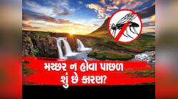 અનોખો દેશ જ્યાં એક પણ મચ્છર નથી, કારણ જાણીને તમે પણ ચોંકી જશો