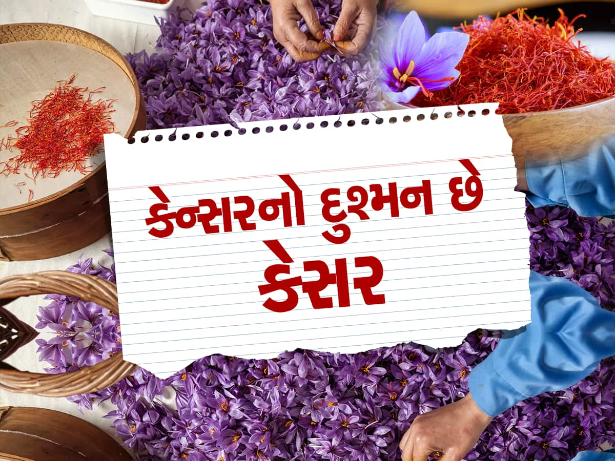 મોંઘેરા કેસરના વધુ પડતા સેવનથી વધી જશે ગંભીર બિમારીઓનું જોખમ, જાણો ફાયદા અને નુકસાન