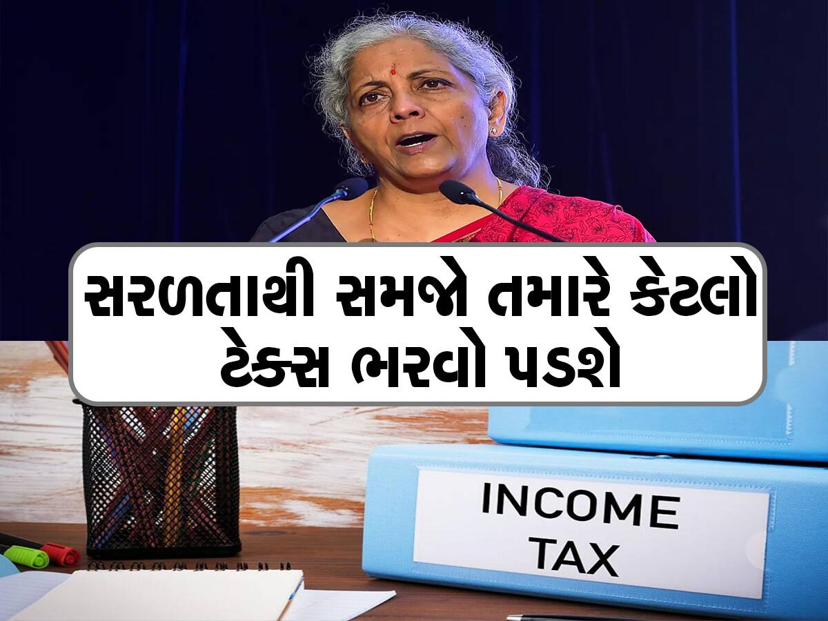 Income Tax: કેટલાક લોકોને 20 તો કેટલાક લોકોને 30% ટેક્સ, આ સરકારી આદેશ બધાને જાણવો જરૂરી