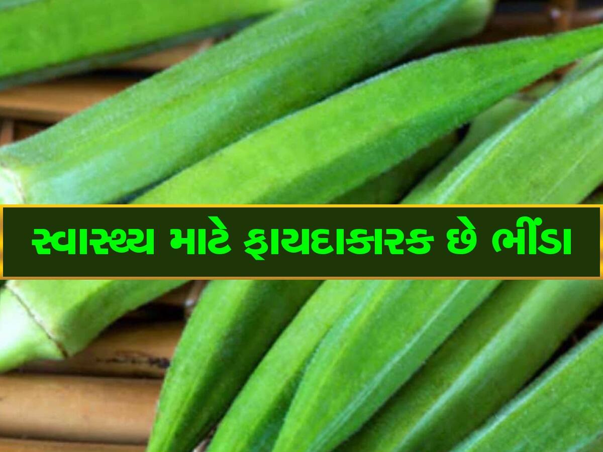 Benefits Of Lady Finger: ભીંડા ખાવાથી શરીરને મળે છે આ લાભો, ફાયદા જાણીને આજે જ ખાવાનું શરૂ કરી દેશો