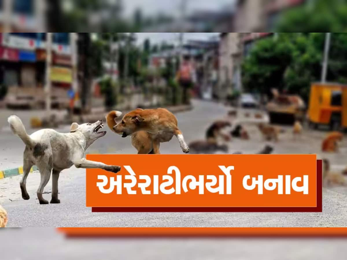 બાપરે હડકાયા શ્વાને એક મહિલાને ફાડી ખાધી! બીજી તરફ રસ્તે રસ્તે અડીંગો જમાવતા આખલાનો આતંક