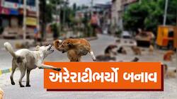 હડકાયા શ્વાને એક મહિલાને ફાડી ખાધી! બીજી તરફ રસ્તે રસ્તે અડીંગો જમાવતા આખલાનો આતંક