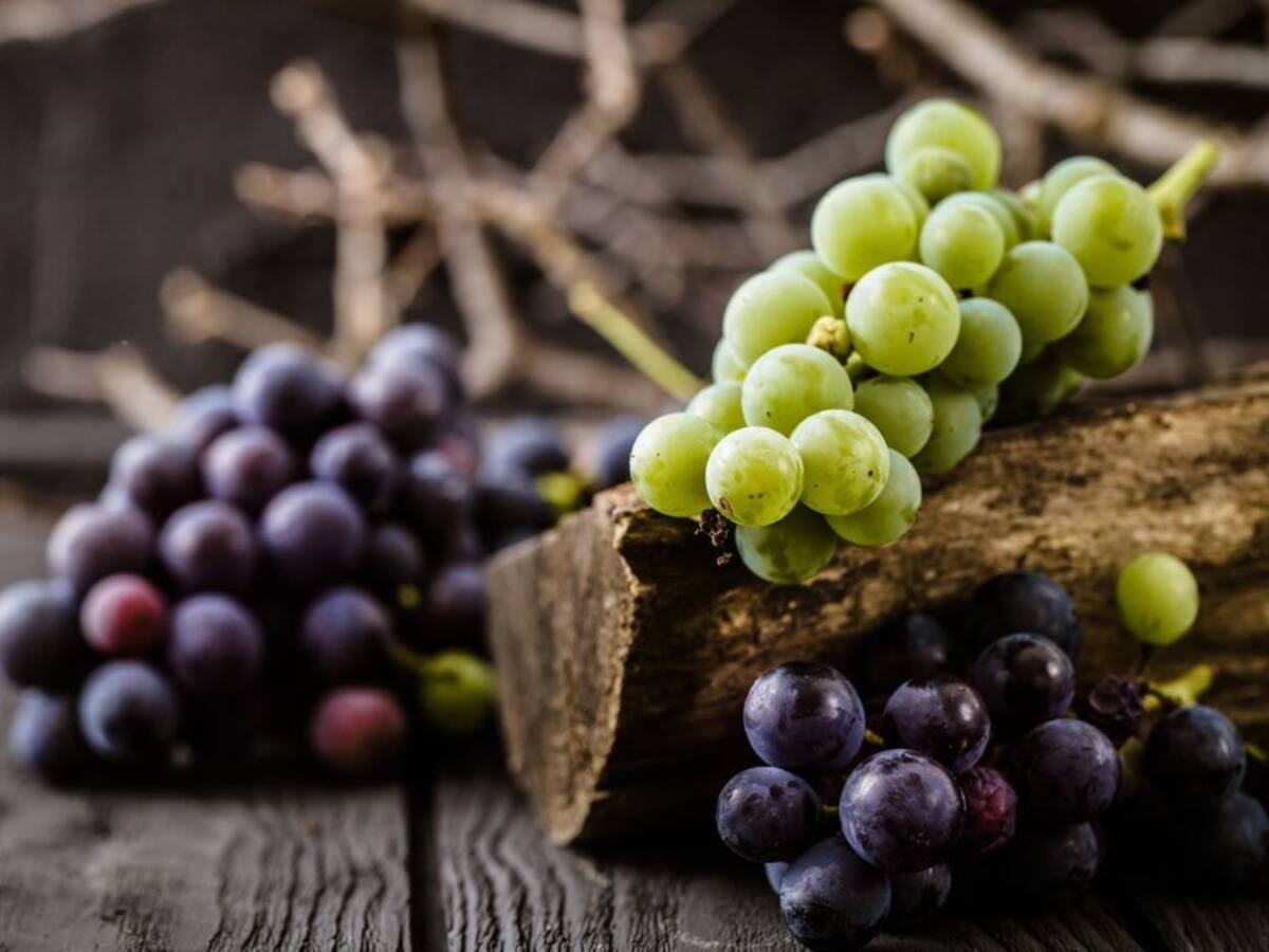 Black Grapes VS Green Grapes: કાળી દ્રાક્ષ કે લીલી દ્રાક્ષ? કઈ દ્રાક્ષ સ્વાસ્થ્ય માટે છે વધુ ફાયદાકારક?