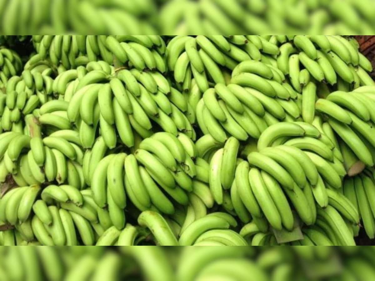 Raw Banana Benefits: ડાયાબિટીસમાં બિંદાસ ખાઈ શકાય છે કાચા કેળા, થાય છે અઢળક ફાયદા