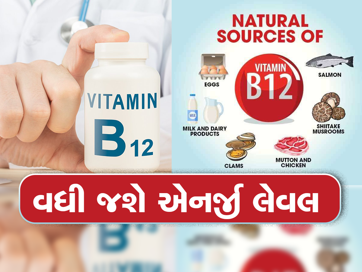Vitamin B12: આ ગંભીર બિમારીઓનો શિકાર બનાવી દે છે Vitamin B12 ની ઉણપ, ખાવાનું શરૂ આ રીચ ફૂડ