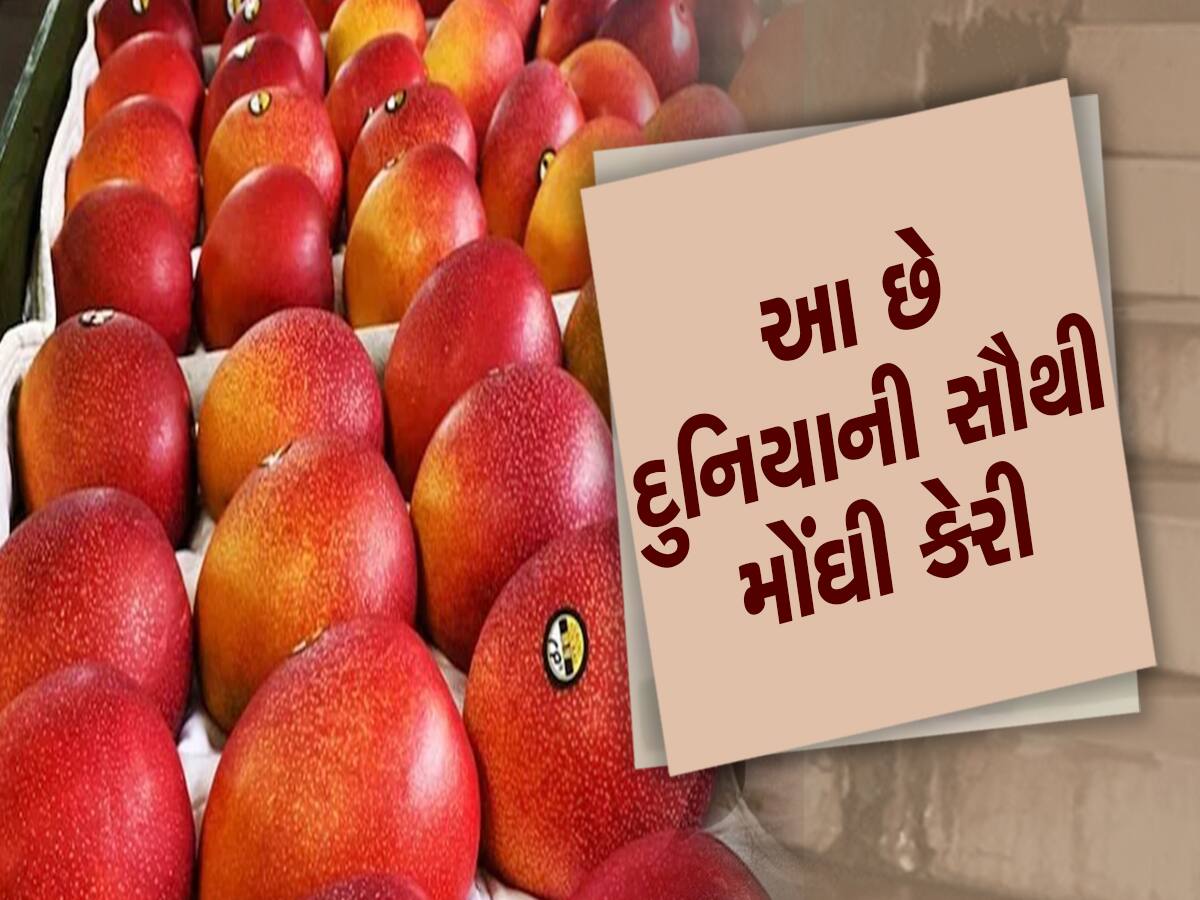 most expensive mango costs more than 2 lakh per kg