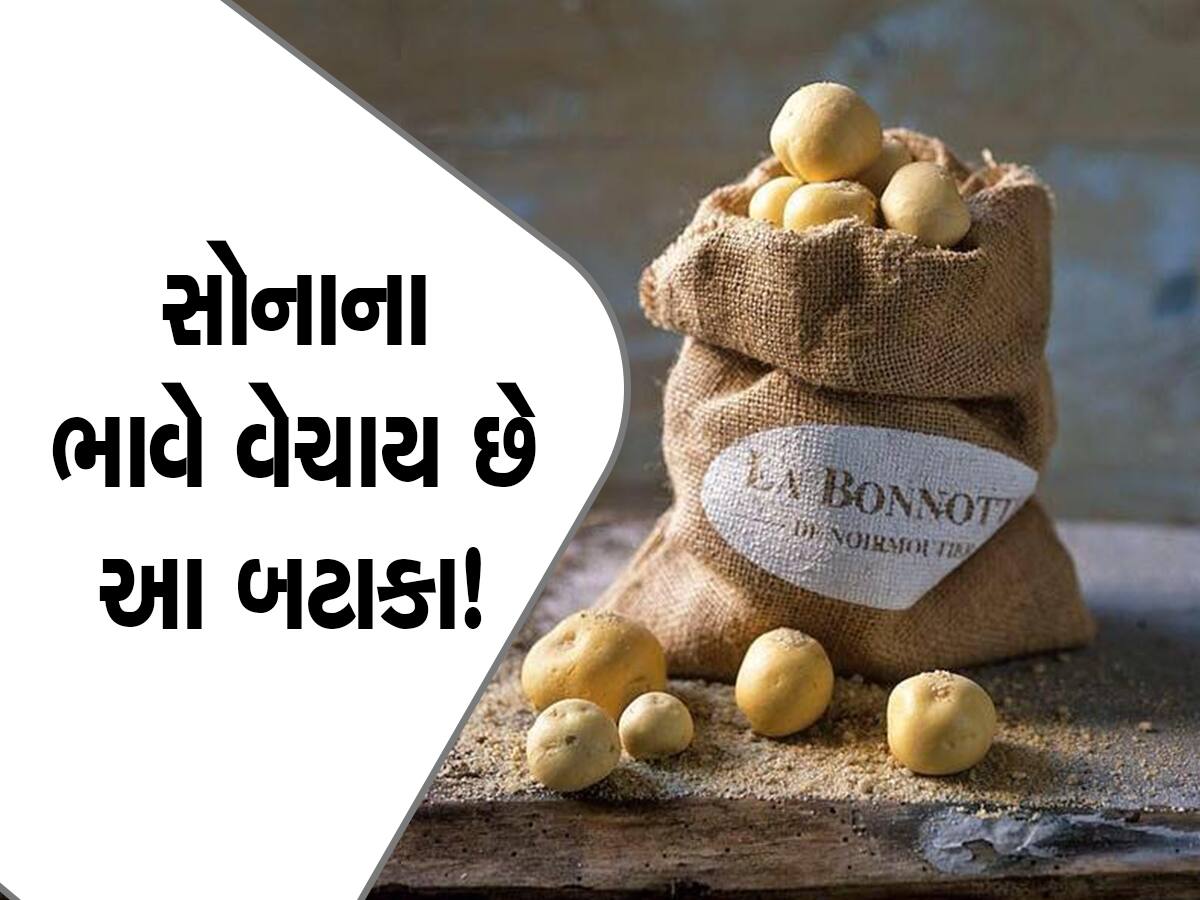 world most expensive potato Le Bonnotte cultivated in france