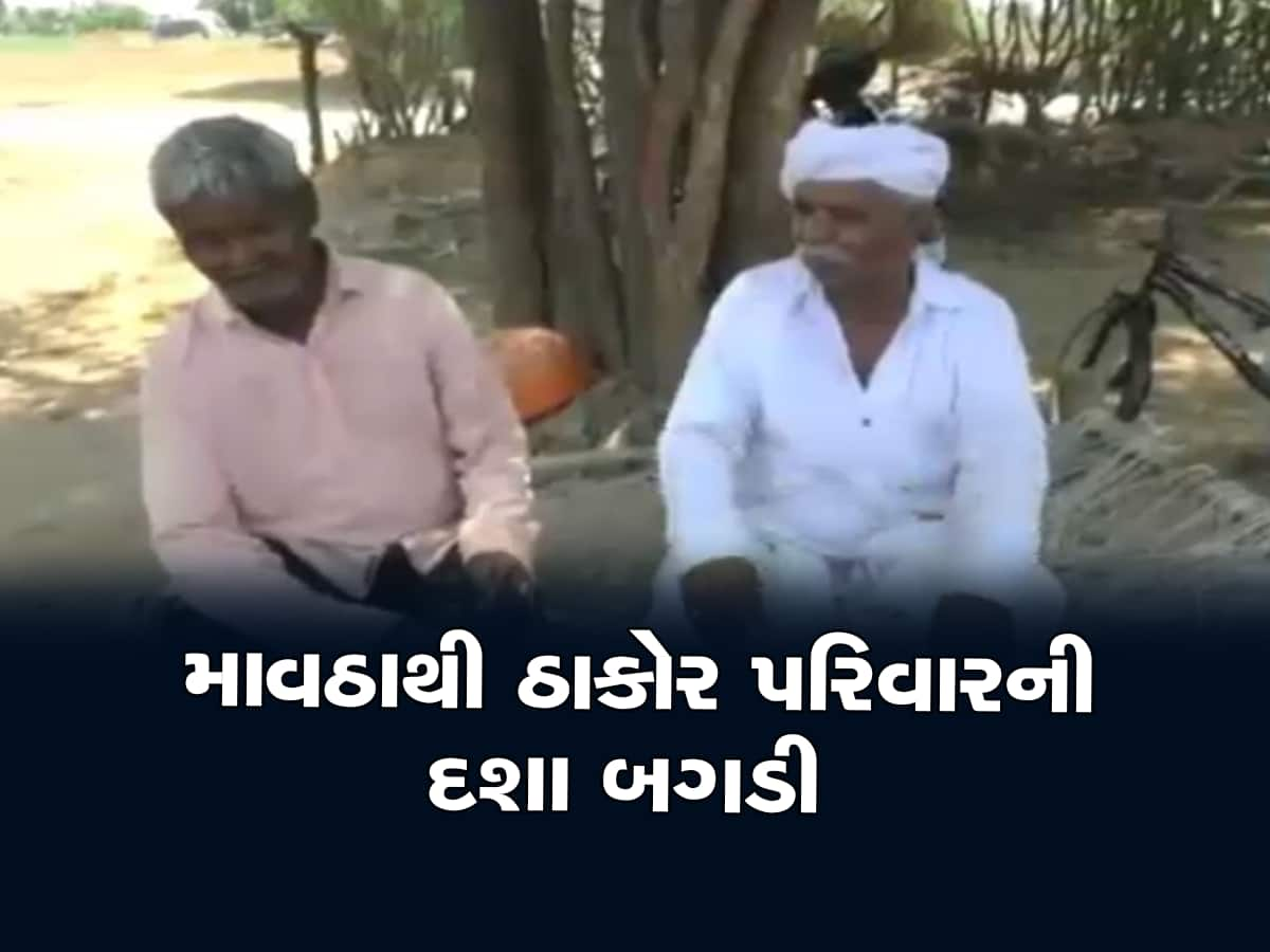 માવઠાએ હસતા રમતા ઠાકોર પરિવારને રડતા કર્યાં, દીકરાના લગ્ન પણ કેન્સલ કરવા પડ્યા