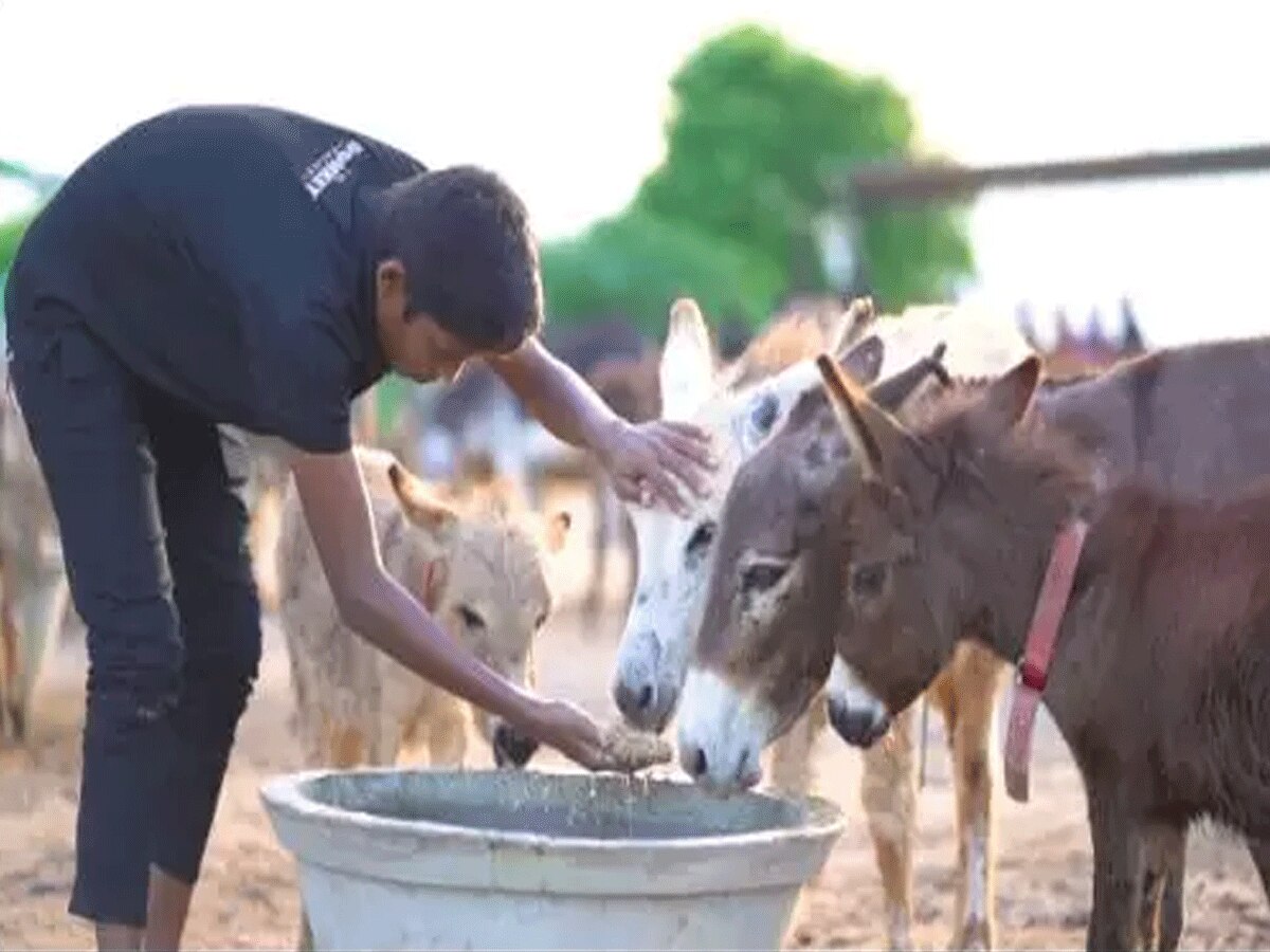ગધેડીના દૂધની વિશેષતા
