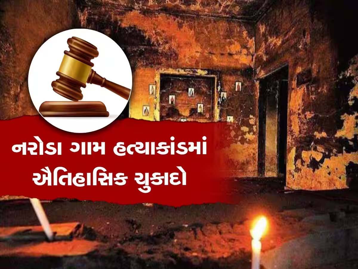 સ્પેશિયલ કોર્ટનું અવલોકન; નરોડા ગામમાં કોઈને જીવતા સળગાવાયા નથી, ફટાકડામાં લાગેલી આગથી મોત થયા