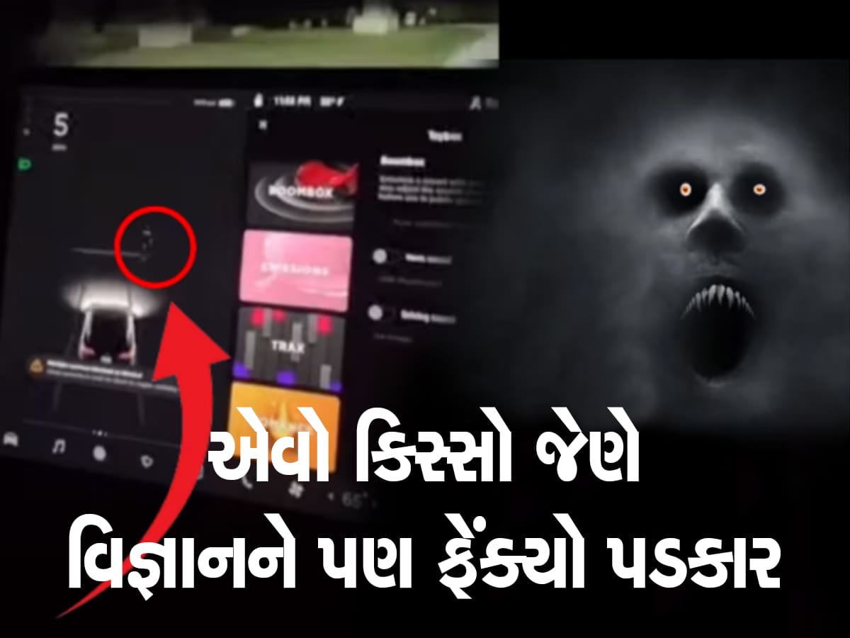 Ghost in Car: ટેસ્લાની હાઈટેક સિસ્ટમે પકડ્યું 'ભૂત', દોડતો પડછાયો જોઈને લોકો ફફડી ગયા