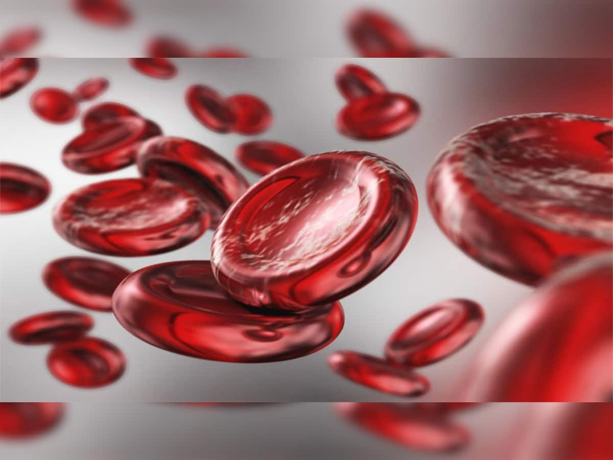 Health Tips: સાત દિવસમાં વધી જશે Hemoglobin Level, બસ ફોલો કરો આ 5 ટીપ્સ