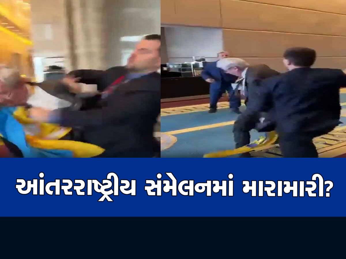 Video: રશિયન પ્રતિનિધિએ કંઈક એવું કર્યું, પછી તો આંતરરાષ્ટ્રીય કોન્ફરન્સમાં યુક્રેનિયન સાંસદે માર્યો મુક્કો