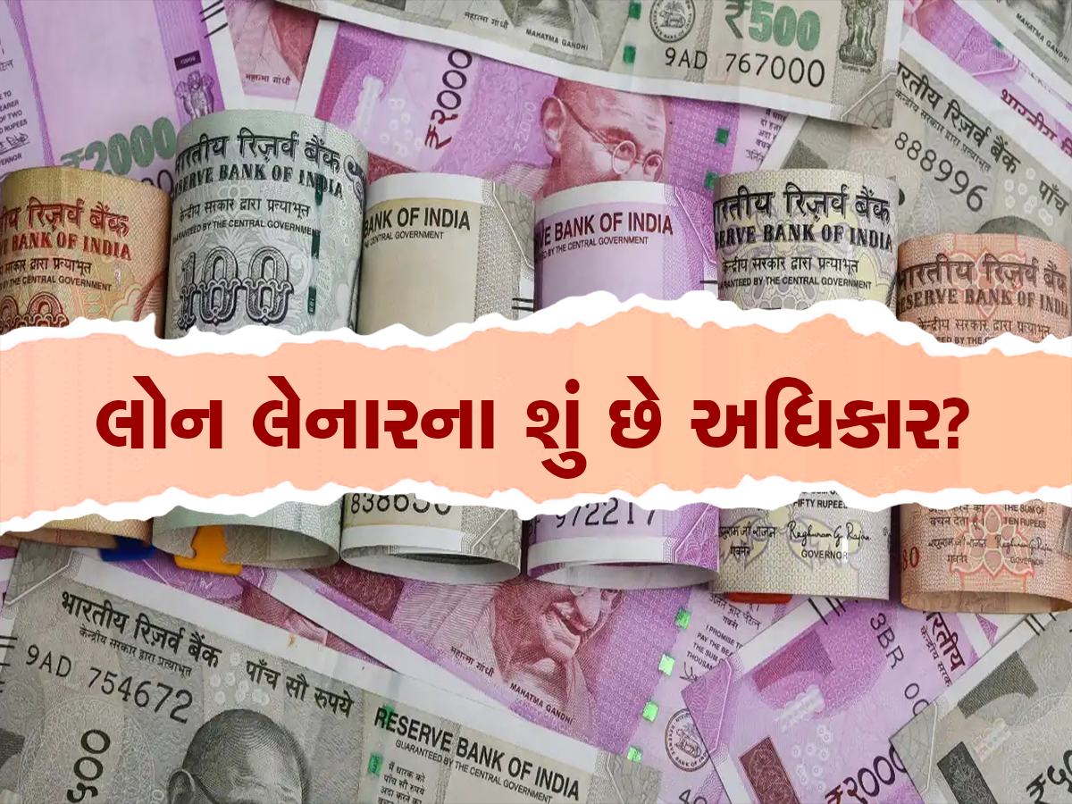 બેંક મિલકત જપ્ત કરી હરાજી કરી રહી છે, જાણો કેવી રીતે રોકી શકશો હરાજી, લોન લેનારના શું છે અધિકાર