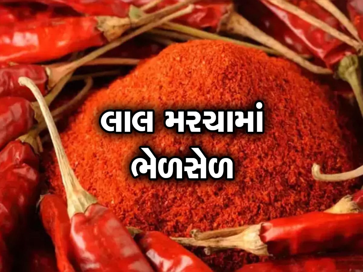 Mehsana : નકલી હળદર અને પનીર બાદ હવે નકલી મરચું બનાવતુ ગોડાઉન ઝડપાયું 