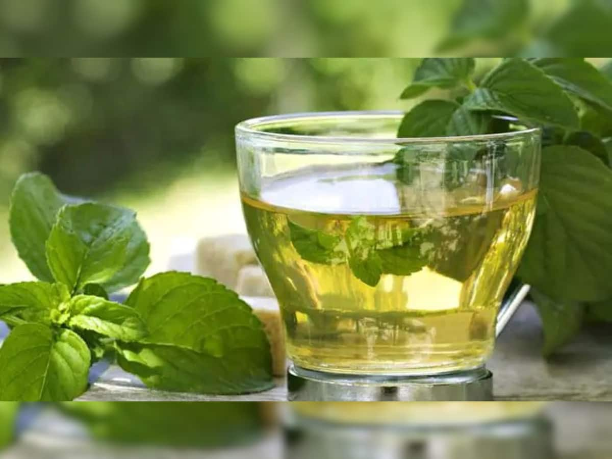 Green Tea: શું તમને પણ ગ્રીન ટી પીવાની આદત છે? તો સૌથી પહેલાં જાણી લો આ વાત